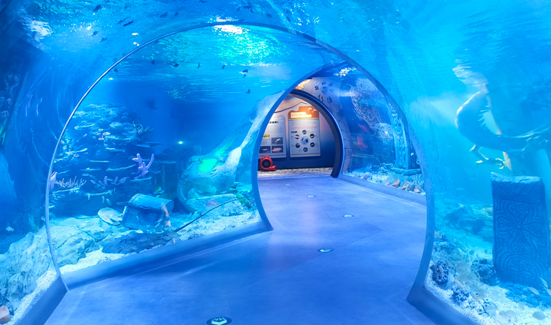 Major Collaboration | Jiangsu JinSui Acrylic �� Hengyuan Ocean Cube, Creating an Immersive Trendsetting Oceanarium