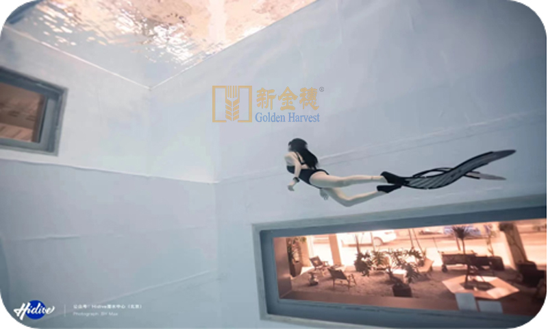 Jiangsu Jin Sui Supports Shanghai Diving Pool Project: Integrated Supply and Processing of 150mm Acrylic Windows