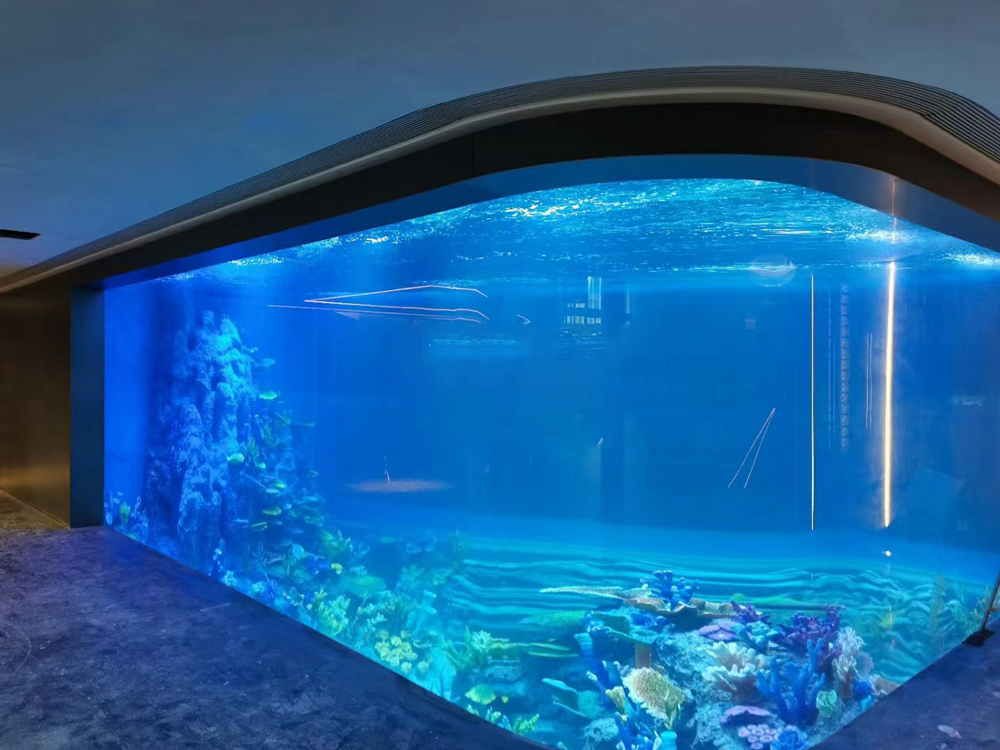 Jinsui Acrylic Enters the Foreign Market, India Aquarium Project Sets New Benchmark for Overseas Projects