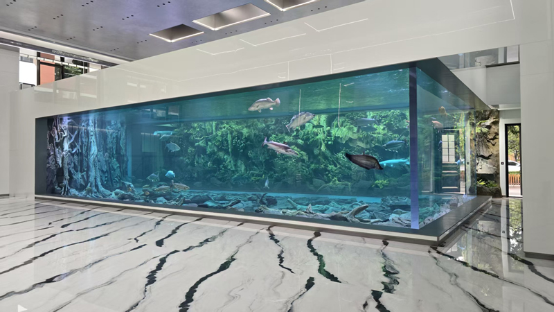 Jiangsu Jinshui Acrylic Technology Co., Ltd. | Successfully Delivered the Beijing Super Luxury Freshwater Predator Aquarium Project, Owner's Acceptance Satisfied