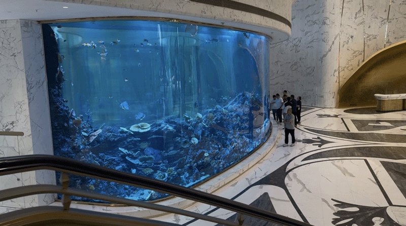 Jinsui Acrylic collaborates with Zhenshi Jucheng Real Estate to successfully complete the high-end hotel's large curved fish tank project